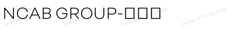 NCAB GROUP字体转换
